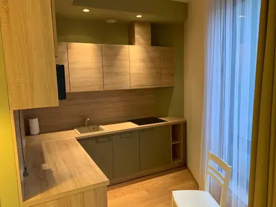 a kitchen with a sink and a counter top at Brolių studija in Druskininkai