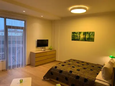 a bedroom with a bed and a flat screen tv at Brolių studija in Druskininkai