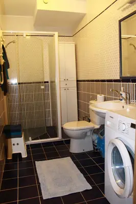 a bathroom with a toilet and a sink and a washing machine at Ruta Marija in Druskininkai