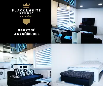 a kitchen and a bedroom with a bed and a desk at Black & White Studio in Anykščiai