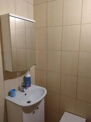 a bathroom with a sink and a mirror at Arvydo Gylio sodyba in Ignalina