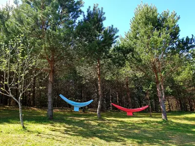 three hammocks sitting in the grass near trees at Miguičionių sodyba in Migučionys