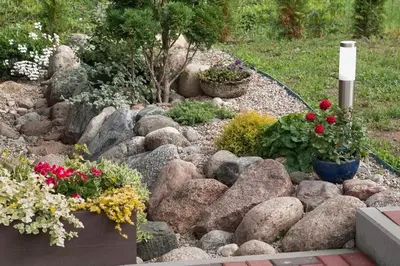 a garden with rocks and flowers in a yard at Smėlio Apartamentai in Anykščiai