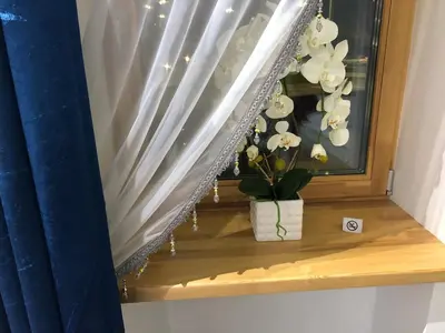 a window with a vase of flowers on a window sill at Modern and Luxury Apartment in the Center of Kaunas in Kaunas
