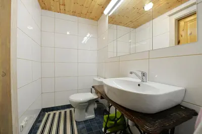 a bathroom with a sink and a toilet at Kliukai in Dubingiai