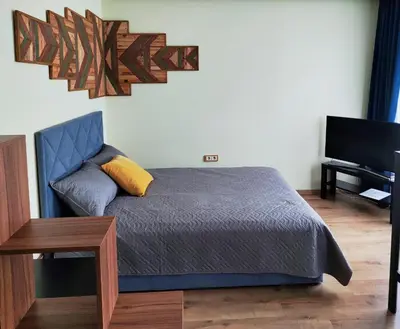 a bedroom with a bed and a flat screen tv at Apartments Franny's Bees in Vilnius
