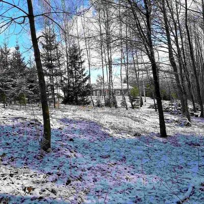 a snow covered field with trees and a house at Aviečių vila in Sumiliszki