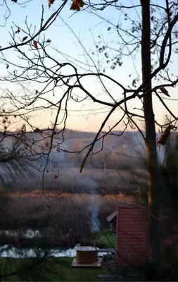 a view of a foggy valley with a house and a tree at Sodyba Širvynė in Užpaliai