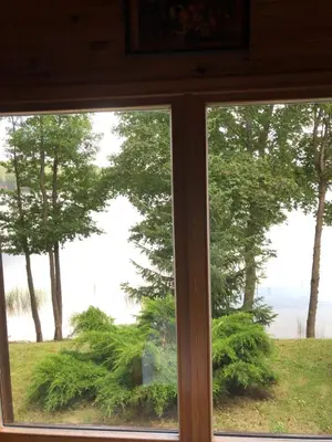 a window with a view of a field and trees at Paukoje Apartamentai in Ignalina