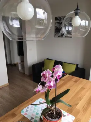 a vase with pink flowers on a wooden table at Cozy apartment with lake view in Trakai