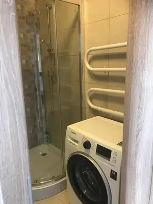 a washing machine in a bathroom with a shower at Cozy apartment with lake view in Trakai