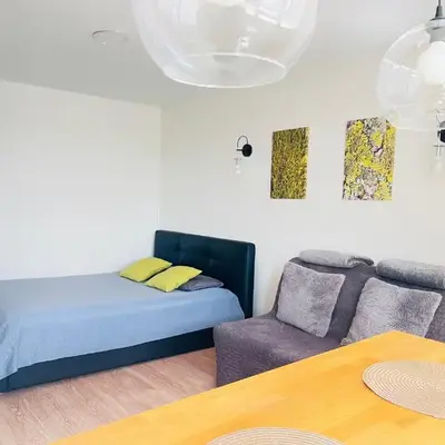 Cozy apartment with lake view