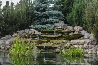 a garden with a waterfall in the middle of a pond at Armenia in Garliava