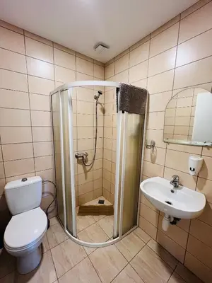 a bathroom with a shower and a toilet and a sink at Armenia in Garliava
