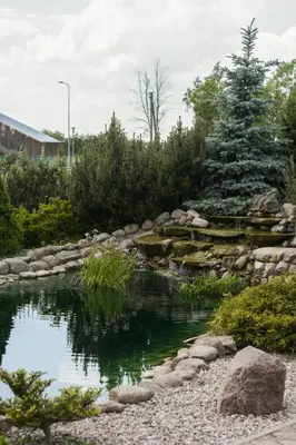 a garden with a pond and a christmas tree at Armenia in Garliava