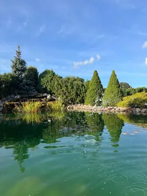 a view of a lake with trees in the background at Armenia in Garliava