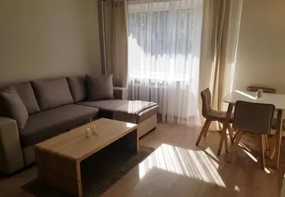a living room with a couch and a table at Apartamentai Vilniaus Street II in Šiauliai