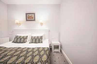a hotel room with a bed and two pillows at Art Hotel in Druskininkai
