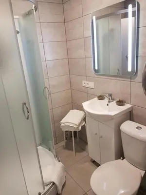 a bathroom with a toilet and a sink and a mirror at J&E NERIES Apartment in Kaunas