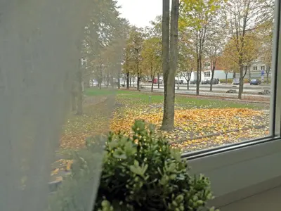 a window view of a street with leaves on the ground at Šiauliai Central Spot Apartment - Draugystes pr. in Šiauliai