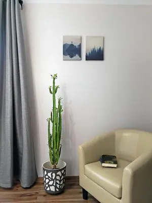 a living room with a chair and a cactus at Šiauliai Central Spot Apartment - Draugystes pr. in Šiauliai