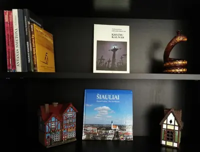 a book shelf with books and a shelf with books at Šiauliai Central Spot Apartment - Draugystes pr. in Šiauliai