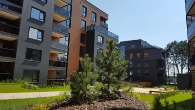 a small tree in front of an apartment building at Antakalnis Apartment in Vilnius