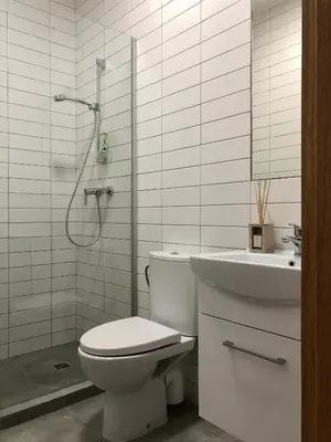 a bathroom with a toilet and a sink and a shower at COMFY Patogūs namai in Kaunas