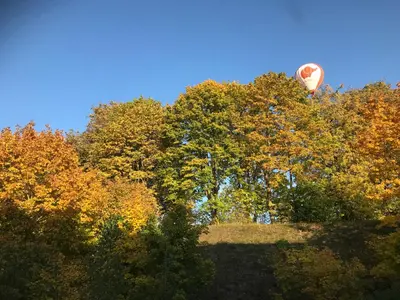 a hot air balloon flying over some trees at Comfy classic apartment in Trakai in Trakai