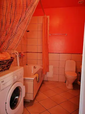 a bathroom with a washing machine and a toilet at Vila Marta in Druskininkai