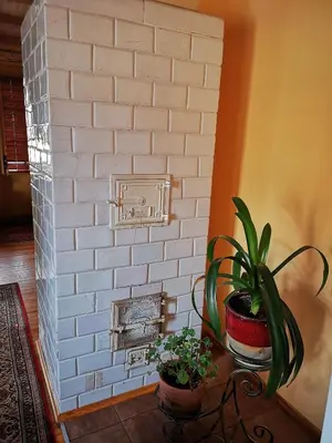 two plants on a table next to a brick wall at Vila Marta in Druskininkai