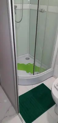 a bathroom with a shower and a green rug at senamiescio deimantas in Vilnius