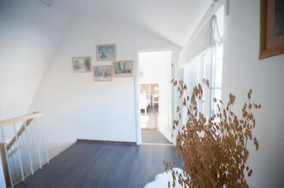 a hallway with a plant in the middle of a room at Vilnius Old Town, 3 BDR Penthouse, 100 m2 with Terrace in Vilnius