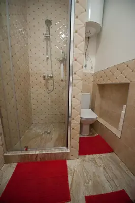 a bathroom with a shower and a toilet on a red rug at Romantic New 2 Bedroom Vilnius Best Location in Vilnius