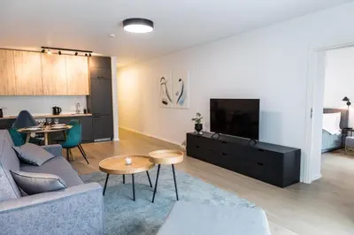 a living room with a couch and a tv at Apartment Hotel Laisve in Druskininkai