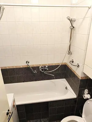a bathroom with a bath tub and a toilet at Dangus in Ramučiai