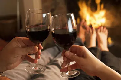 two people holding wine glasses in front of a fire at Sauna2relax in Šveicarija