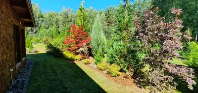 a garden with many different types of plants at Sauna2relax in Šveicarija
