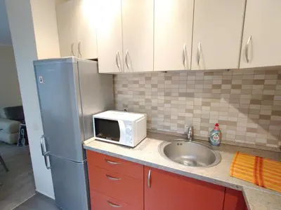 a kitchen with a sink and a refrigerator at Jaukus butukas in Druskininkai