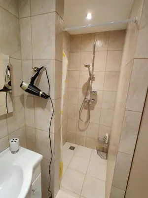 a bathroom with a shower and a sink at Jaukus butukas in Druskininkai