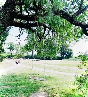 a swing hanging from a tree in a field at M&M Apartment I SELF CHECK-IN near Panevezys in Velžys