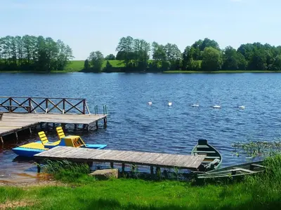 a dock with boats and swans on a lake at Kurėnų Užeigos Svečių Namai in Kurėnai