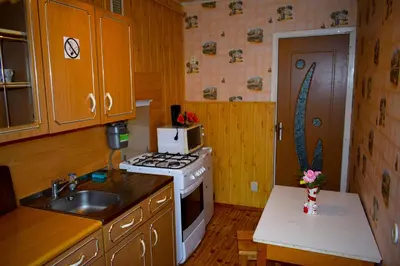 a small kitchen with a stove and a sink at Chernobyl type rooms in a block flat house in Šiauliai