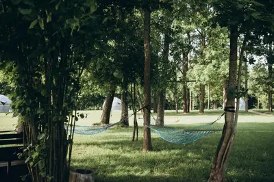 two hammocks hanging from trees in a park at VasaRojaus Jurta in Birštonas