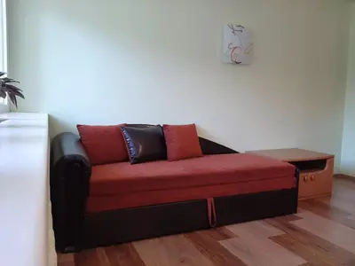 a couch with a red cushion in a living room at Irene apartments in Druskininkai