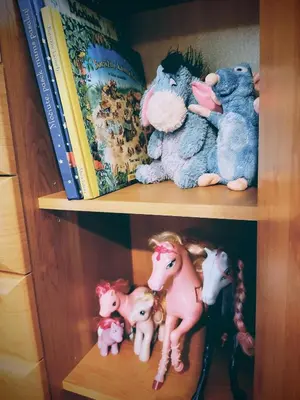 a book shelf with stuffed animals and books at Irene apartments in Druskininkai