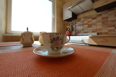 a coffee cup on a plate on a kitchen counter at Lukšio Apartment in Šiauliai