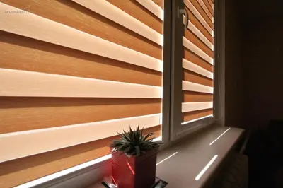 a window with wooden blinds and a potted plant at Lukšio Apartment in Šiauliai