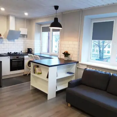 Alytus Ziburio studio