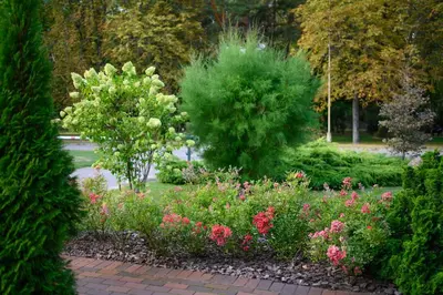 a garden with flowers and trees in a park at Zofija in Birštonas